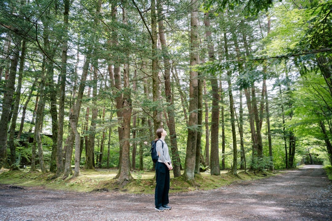 Double bassist Marianne Schofield
