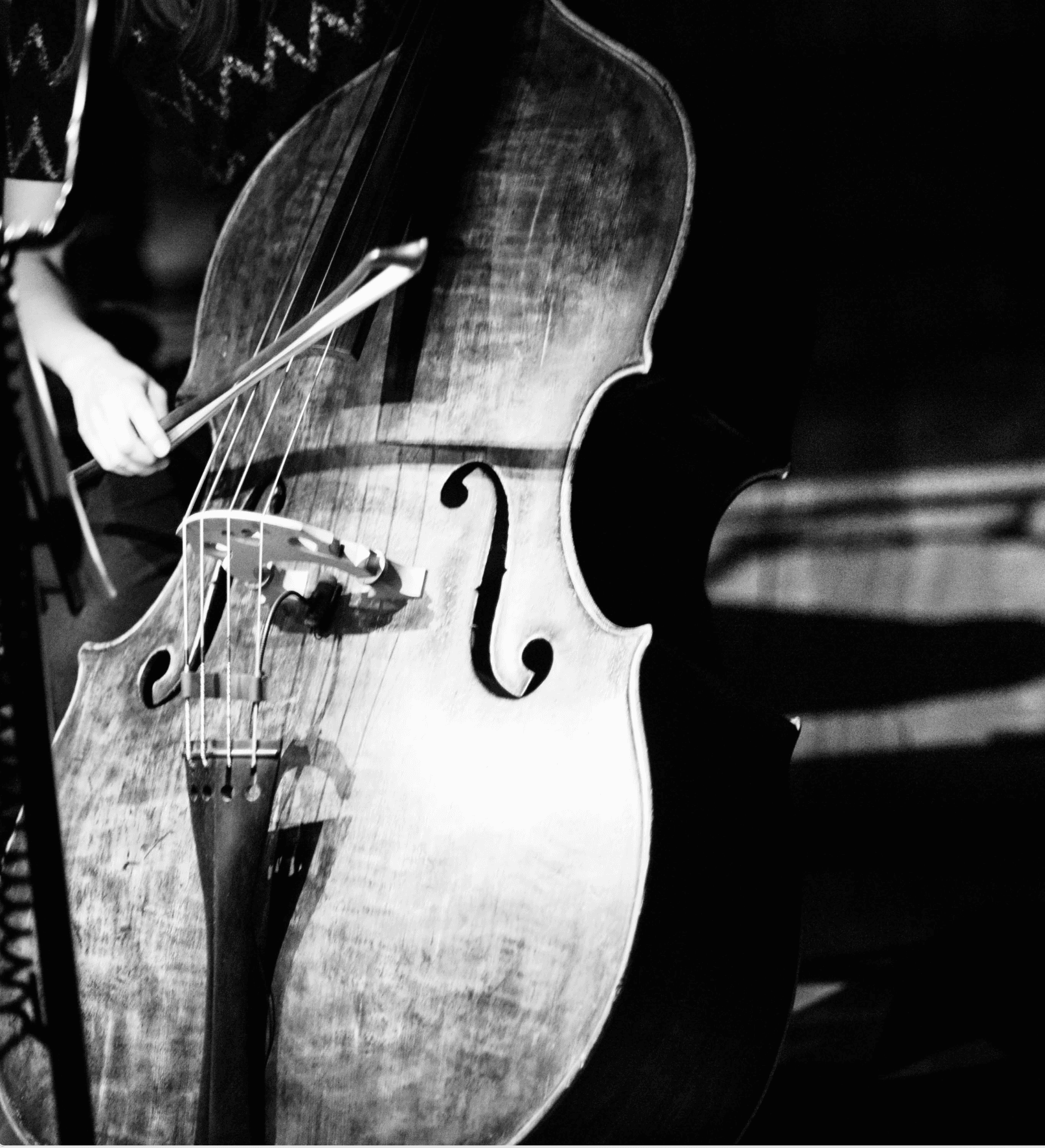 picture of double bass